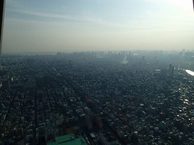 P2010001.jpg