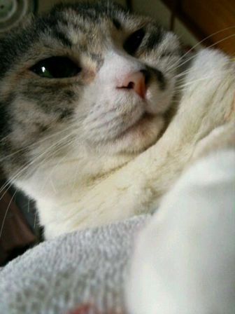 DSC_2516.JPG