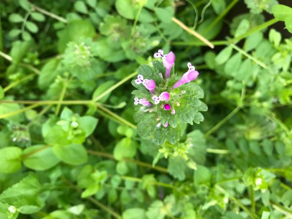 rblog-20180408161916-01.jpg