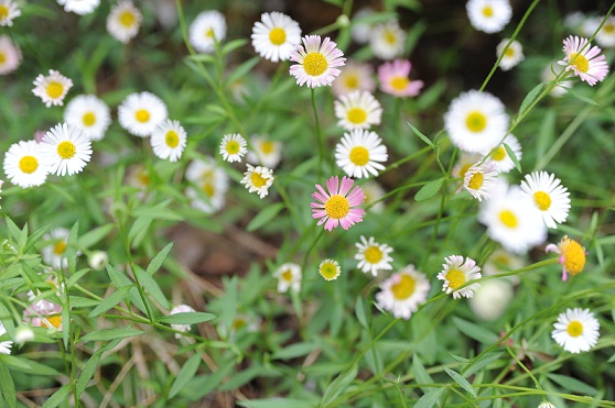 2013.5.24 046.JPG