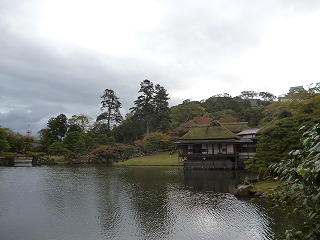 P1110569ss.jpg