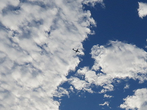 IMG_6510-1.jpg