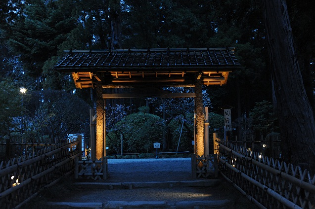 2013.3.22 054.JPG