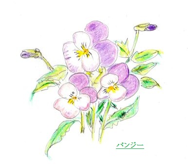 img004s.jpg