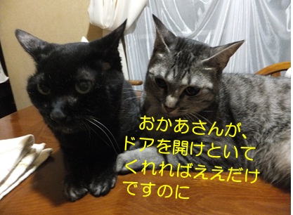 20120903_4.jpg