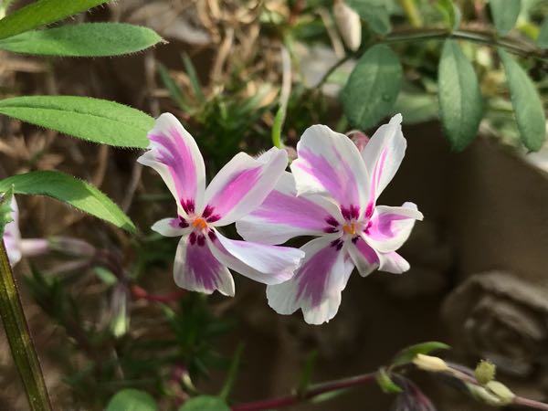 rblog-20190401163907-03.jpg
