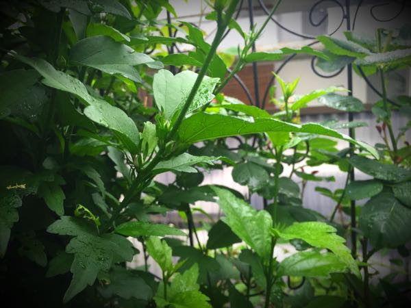 rblog-20160530192214-07.jpg