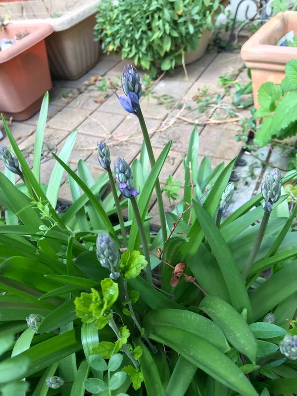 rblog-20180408160445-07.jpg