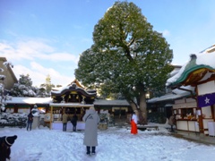 P1010099.JPG