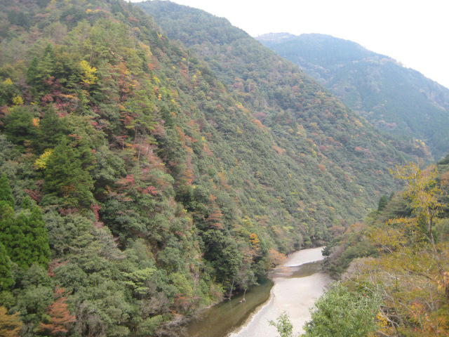 IMG_9819.JPG