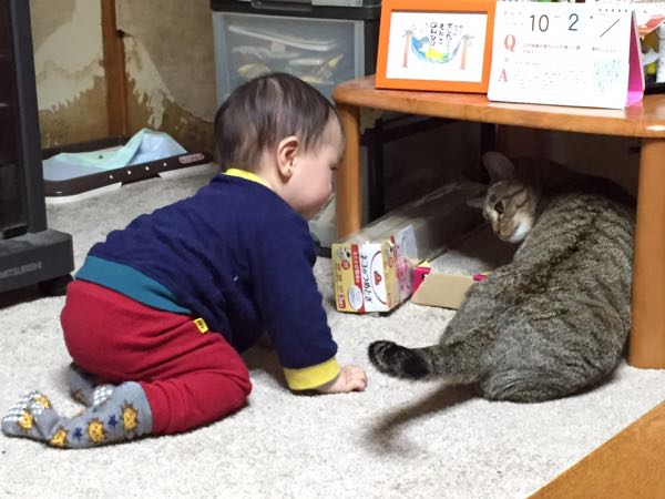 rblog-20141117220311-05.jpg
