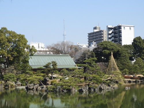 清澄庭園にて