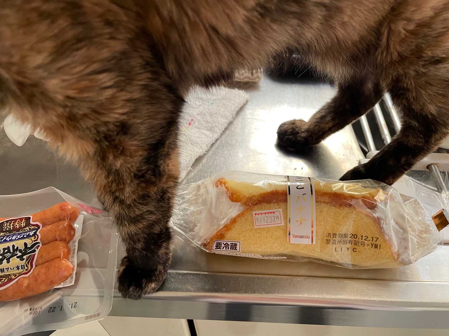 猫またぎしないで 猫と一緒に 楽天ブログ