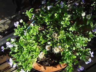 DSC03890.jpg