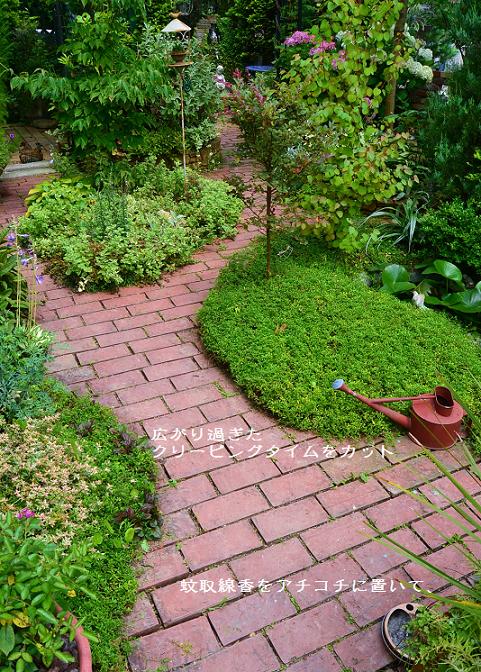 DSC_0087.JPG