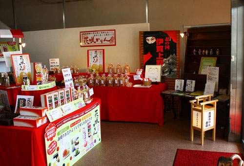 花咲カリン　27.9.22-6_edited-1.jpg