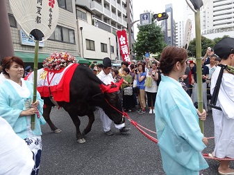 りく８.jpg