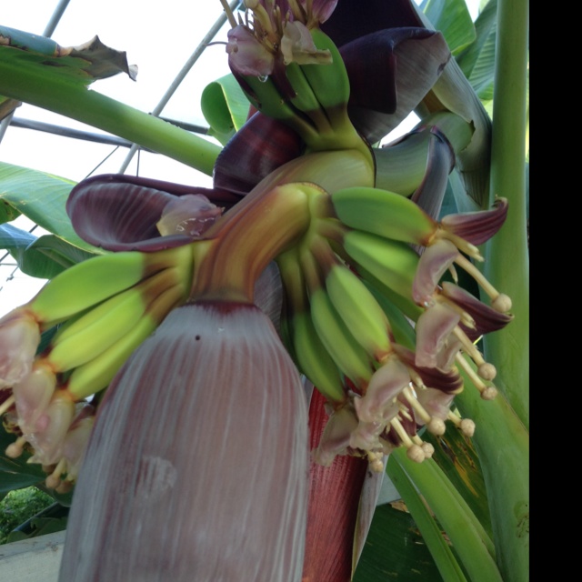 rblog-20131007125133-03.jpg