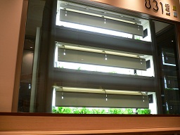 野菜ラボのレタス