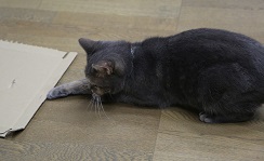5DA_5147-5.jpg