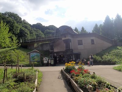 P8300134.jpg