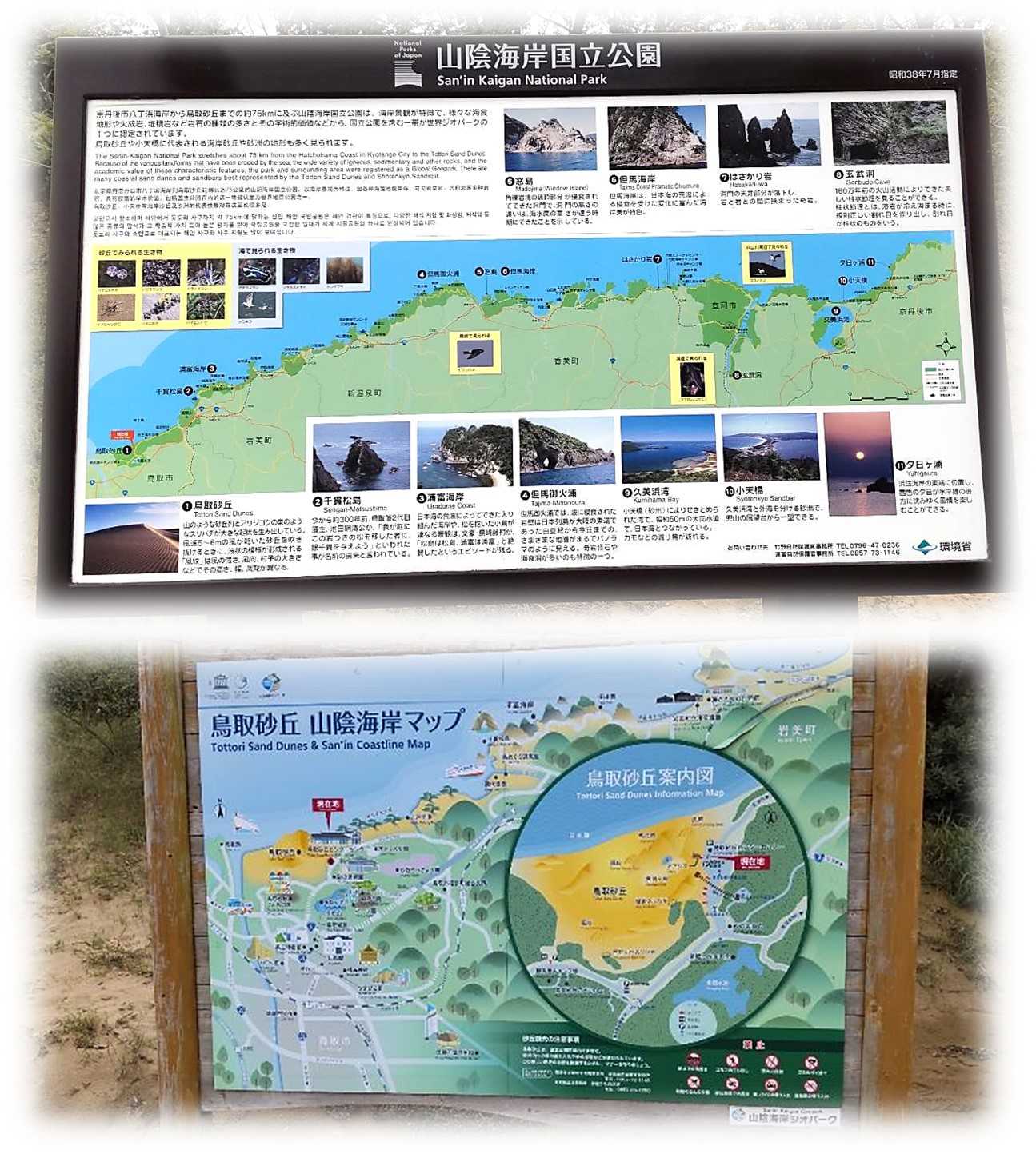 鳥取県「鳥取砂丘と砂の美術館」 | おやじのブログ - 楽天ブログ