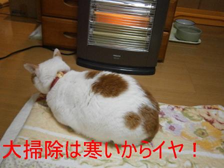 maru