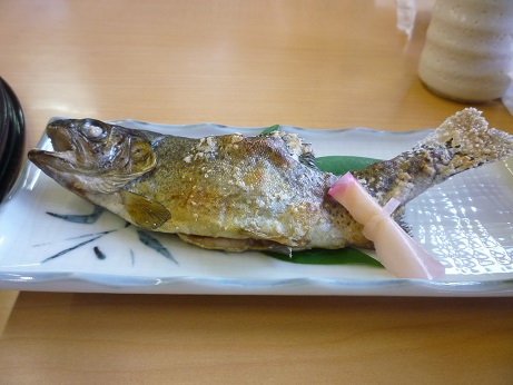 P1070115.JPG