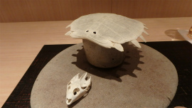 20150313 (19).jpg