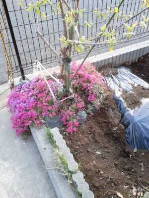 rblog-20140508082438-01.jpg