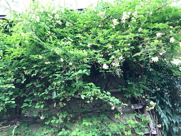 rblog-20180408182003-03.jpg