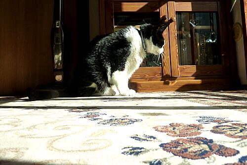 ノーマン・ベル・ゲデス | 耳（ミミ）とチャッピの布団 - 楽天ブログ