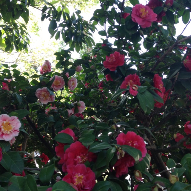 rblog-20130421223430-02.jpg