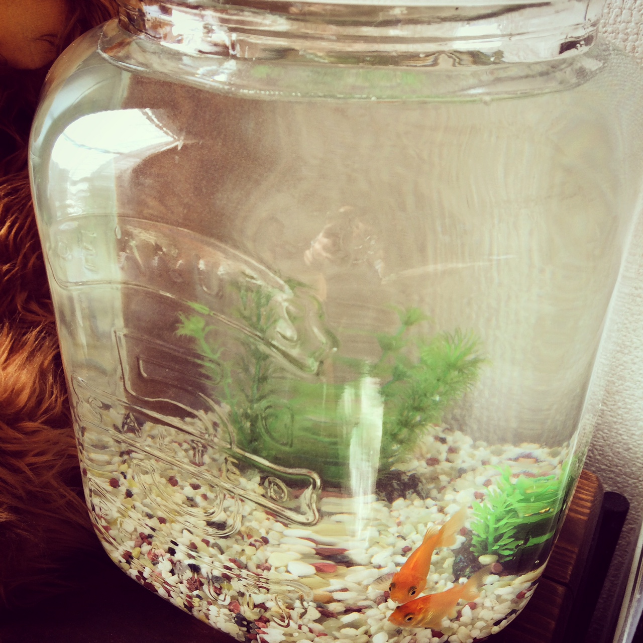 キッチン雑貨 楽天lover Ruruhanaのhappy Life 楽天ブログ