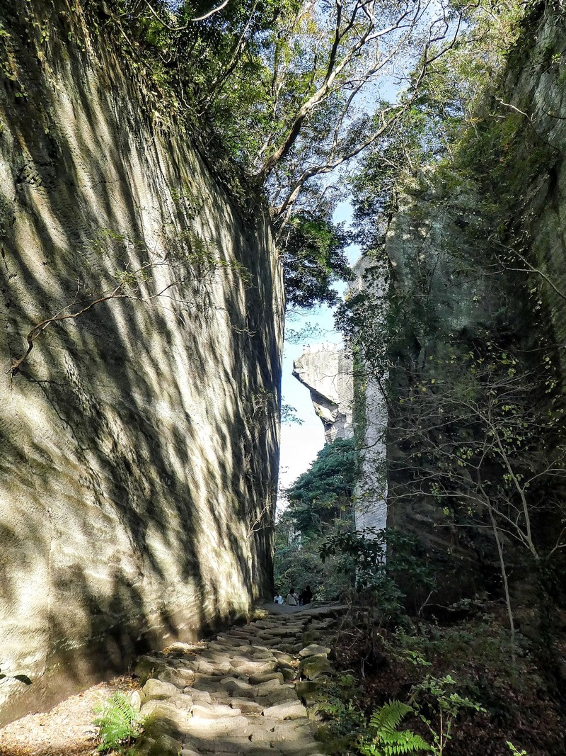 PSX_20171113_192121-01.jpg