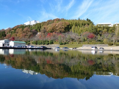 P1060324.jpg