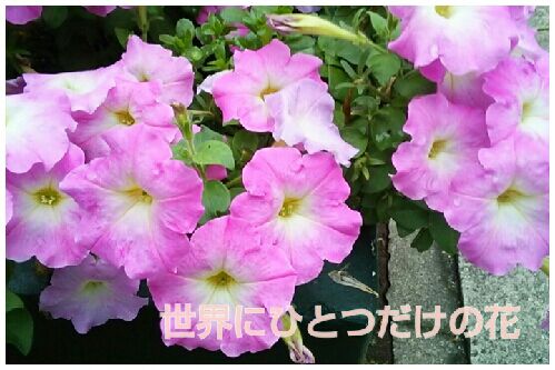 rblog-20160921082736-00.jpg
