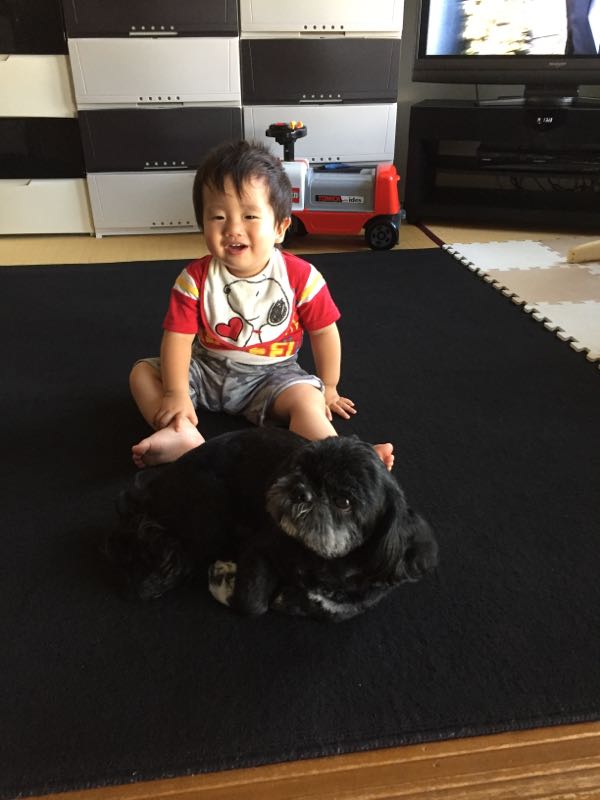 rblog-20160904102245-07.jpg