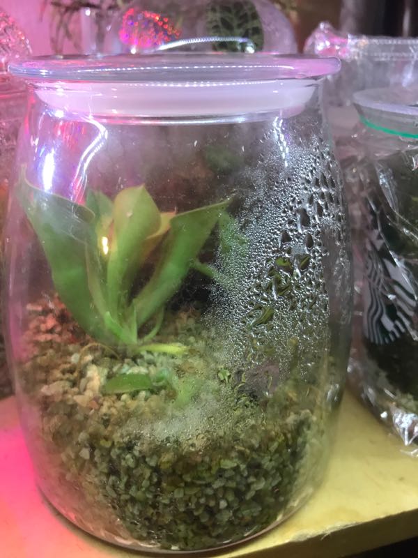 rblog-20180505030439-02.jpg
