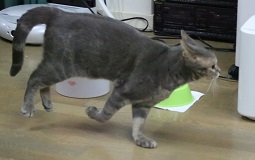 5DA_4888-19.jpg
