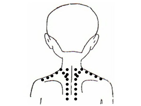 肩甲間部の指圧ポイント