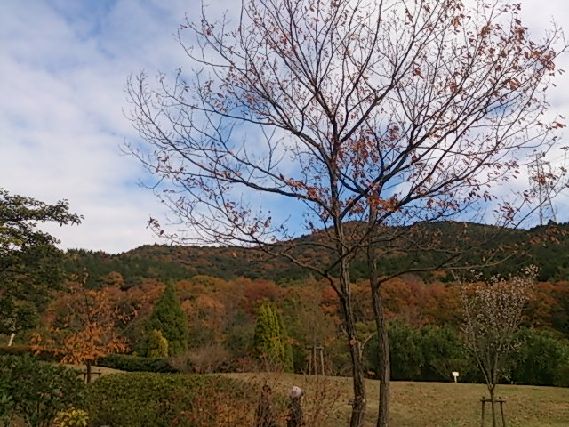 なだらかな山
