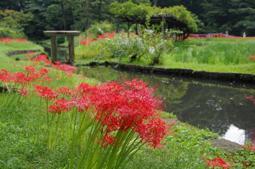 小石川後楽園