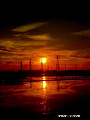 今日の空 1099記事 クチコミテーマ 楽天ブログ