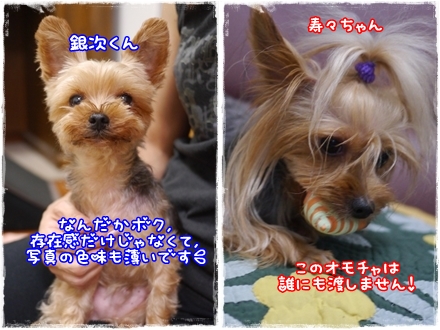 銀鈴.jpg