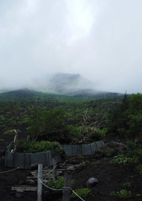 201208静岡0034.JPG