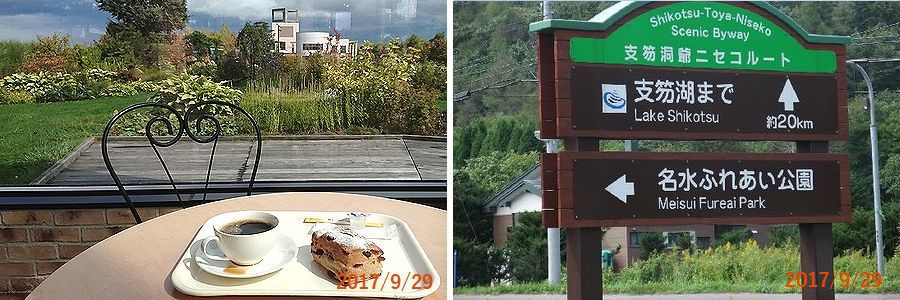 ９／２９苔をとりに.jpg
