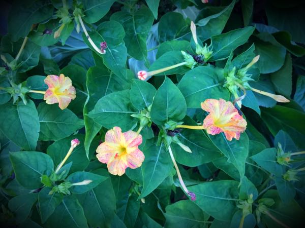 rblog-20160710211450-08.jpg