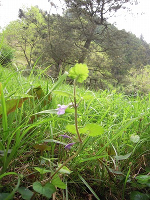 DSCN0139.jpg