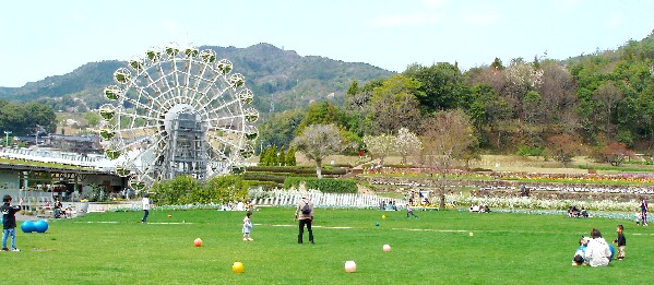 フラワーランド　風景